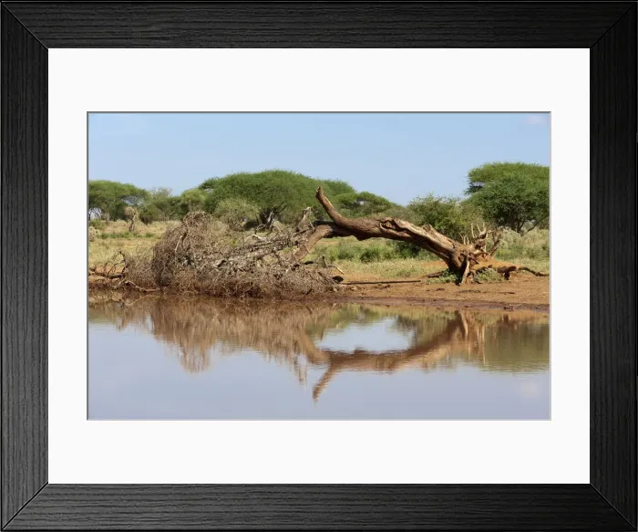 Framed Print : DDE-90020892 Framed Print : DDE-90020892