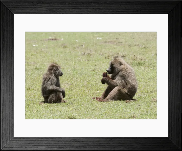 Framed Print : DDE-90020896 Framed Print : DDE-90020896