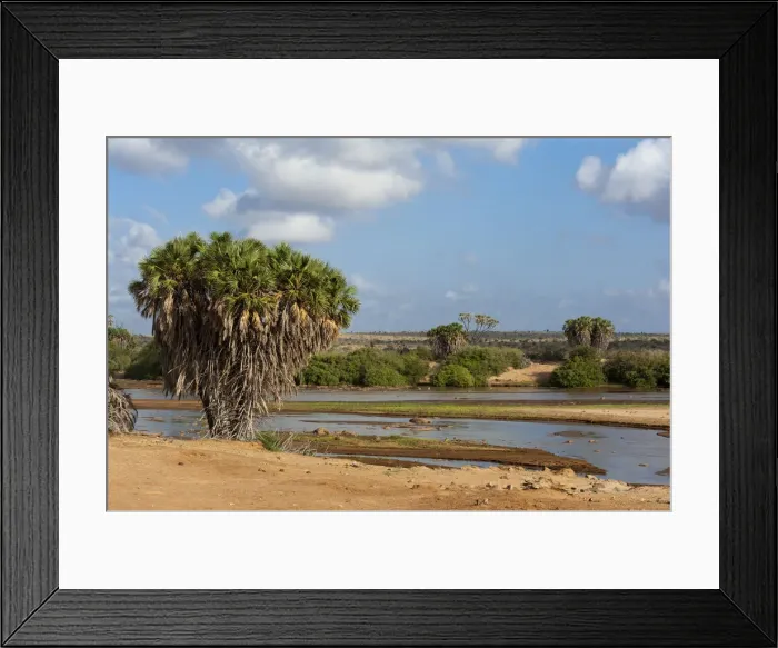 Framed Print : DDE-90020901 Framed Print : DDE-90020901