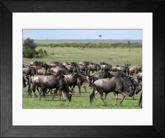 Framed Print : DDE-90020902 Framed Print : DDE-90020902