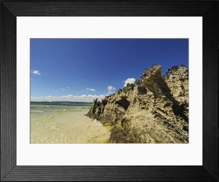 Framed Print : DDE-90020904 Framed Print : DDE-90020904