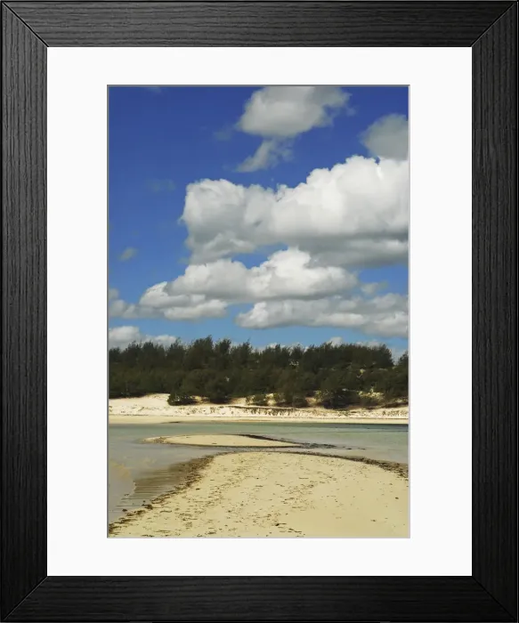 Framed Print : DDE-90020907 Framed Print : DDE-90020907