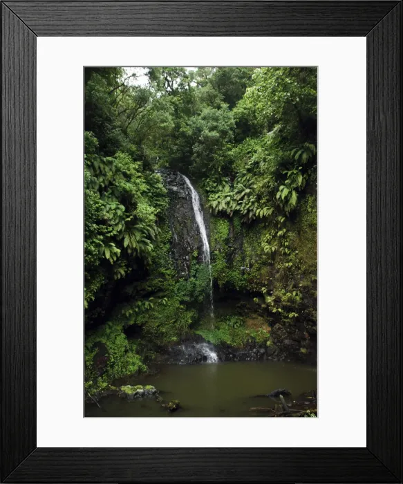 Framed Print : DDE-90020912 Framed Print : DDE-90020912