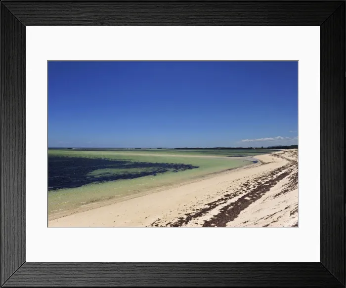 Framed Print : DDE-90020908 Framed Print : DDE-90020908