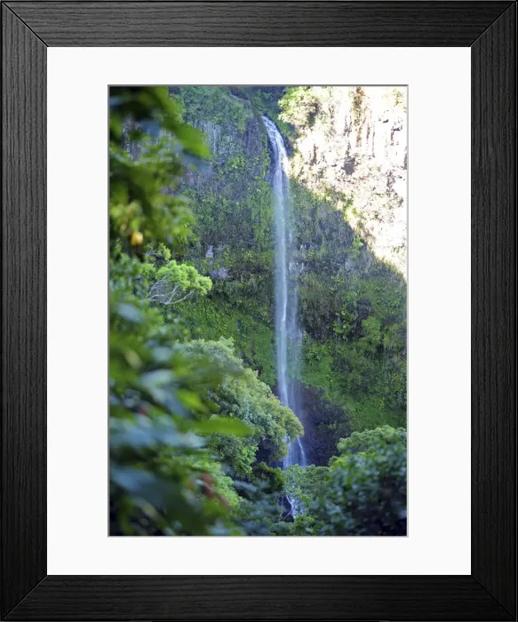 Framed Print : DDE-90020913 Framed Print : DDE-90020913