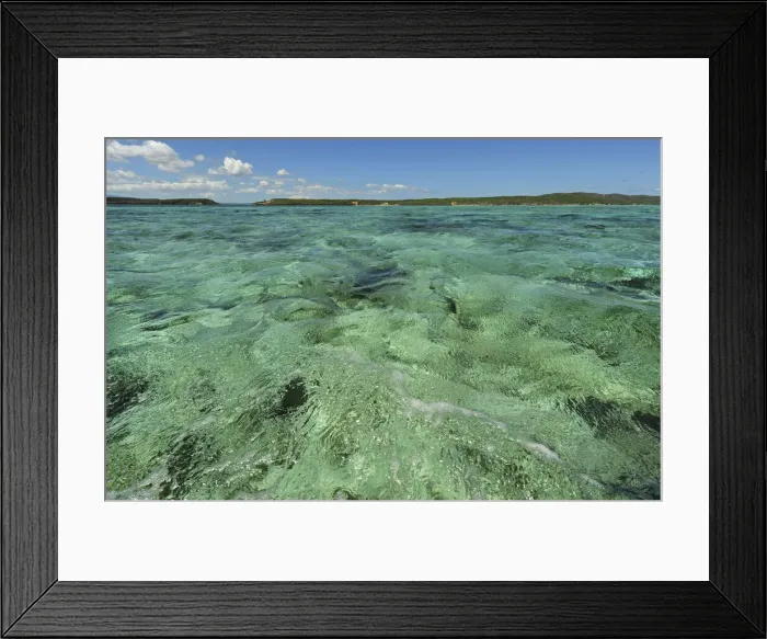 Framed Print : DDE-90020917 Framed Print : DDE-90020917