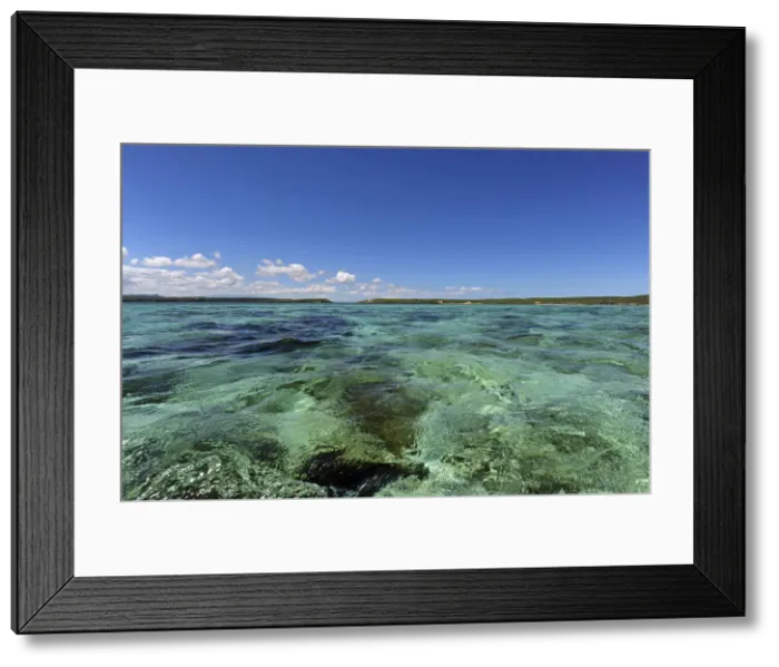 Framed Print : DDE-90020916