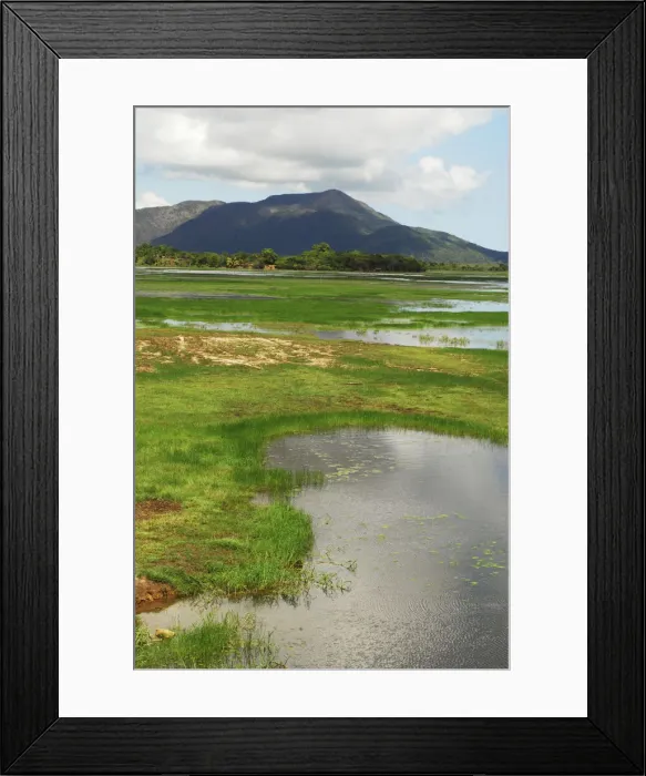Framed Print : DDE-90020921 Framed Print : DDE-90020921