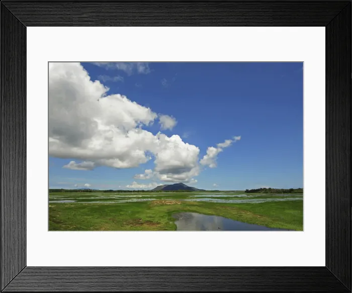 Framed Print : DDE-90020922 Framed Print : DDE-90020922