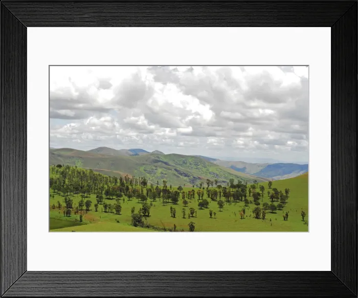 Framed Print : DDE-90020925 Framed Print : DDE-90020925
