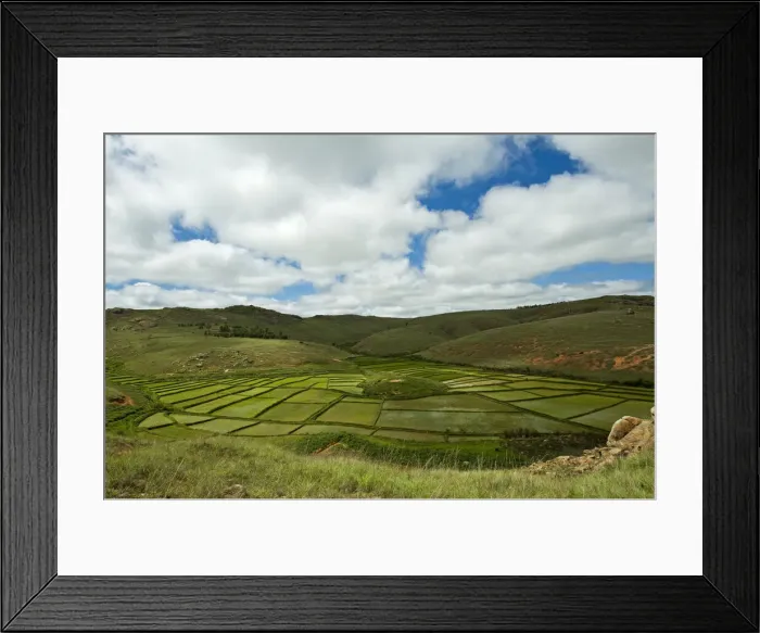 Framed Print : DDE-90020926