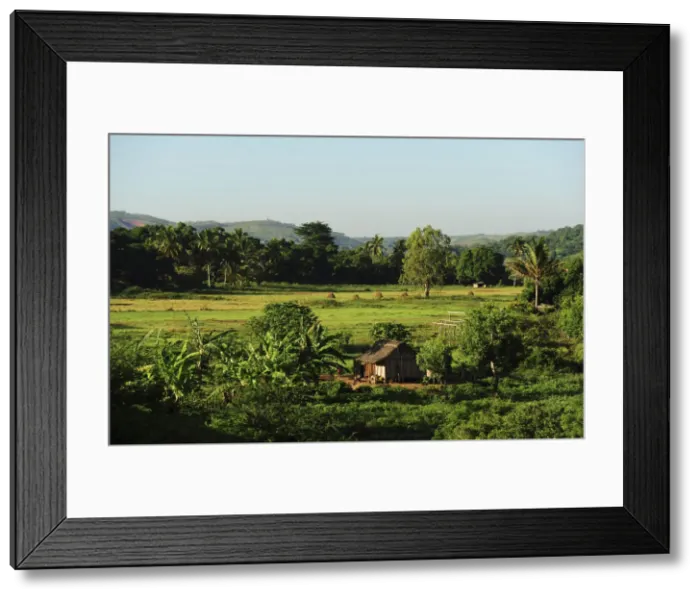 Framed Print : DDE-90020927 Framed Print : DDE-90020927
