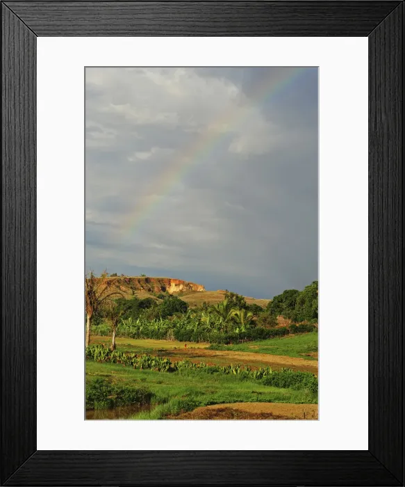 Framed Print : DDE-90020923 Framed Print : DDE-90020923
