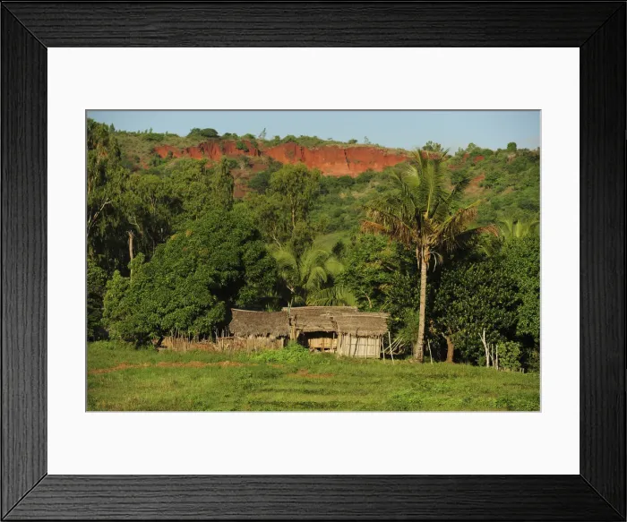 Framed Print : DDE-90020928 Framed Print : DDE-90020928