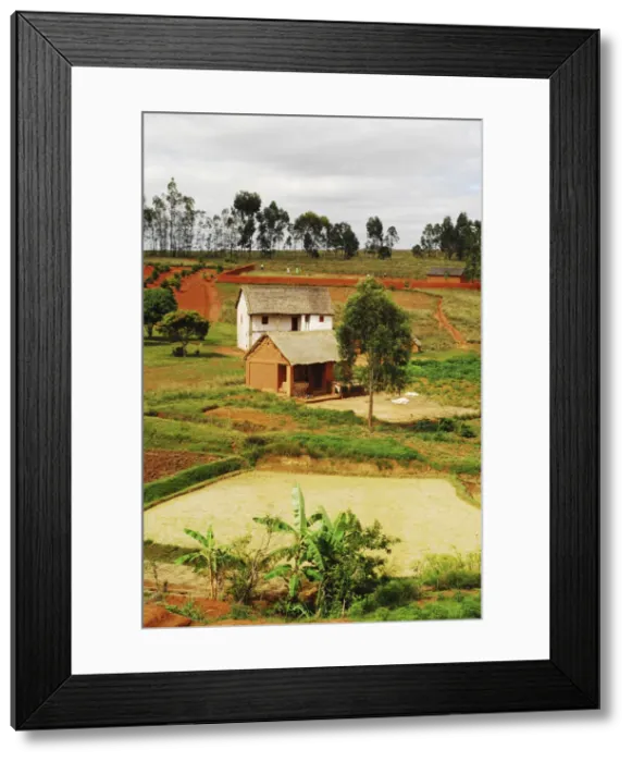 Framed Print : DDE-90020929 Framed Print : DDE-90020929