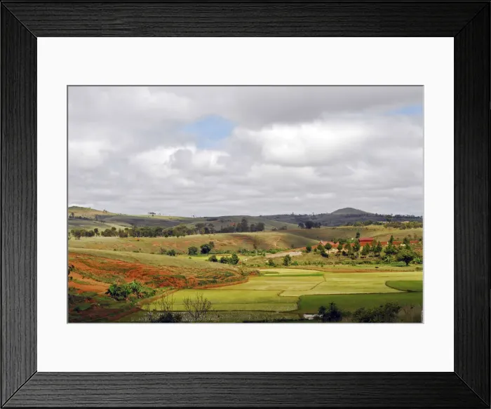 Framed Print : DDE-90020931 Framed Print : DDE-90020931