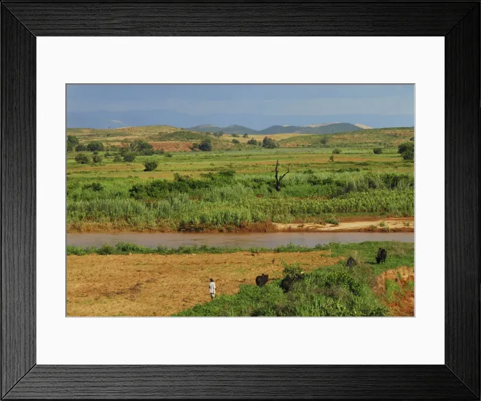 Framed Print : DDE-90020932