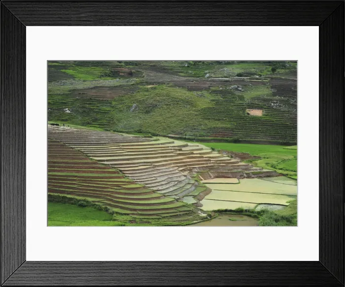 Framed Print : DDE-90020933