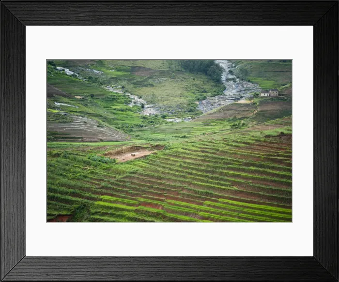 Framed Print : DDE-90020934 Framed Print : DDE-90020934