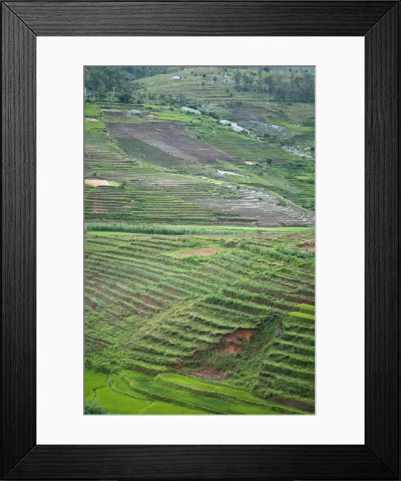 Framed Print : DDE-90020935