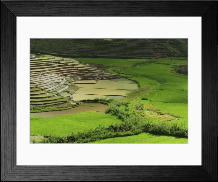 Framed Print : DDE-90020937 Framed Print : DDE-90020937