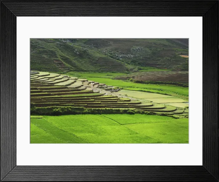 Framed Print : DDE-90020938 Framed Print : DDE-90020938