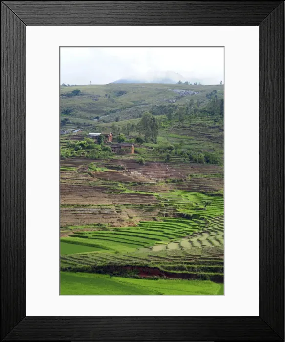 Framed Print : DDE-90020939