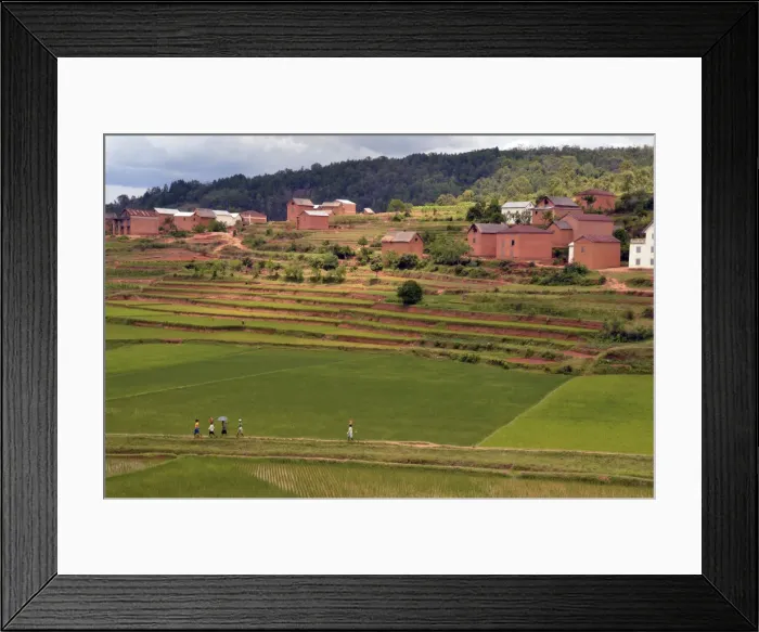 Framed Print : DDE-90020940 Framed Print : DDE-90020940