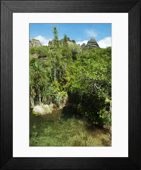 Framed Print : DDE-90020946 Framed Print : DDE-90020946
