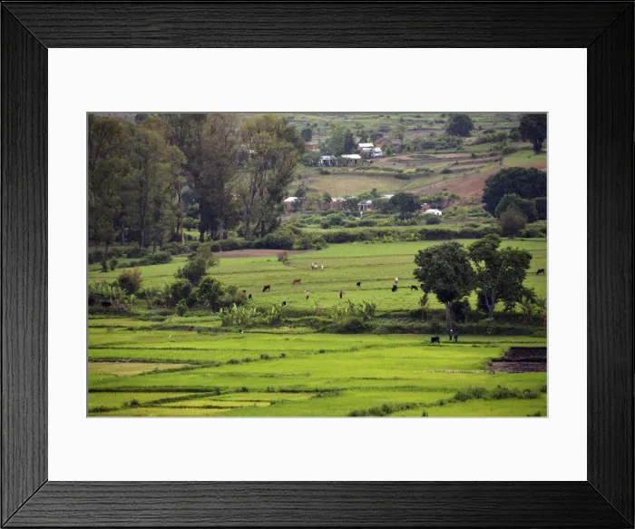 Framed Print : DDE-90020948 Framed Print : DDE-90020948