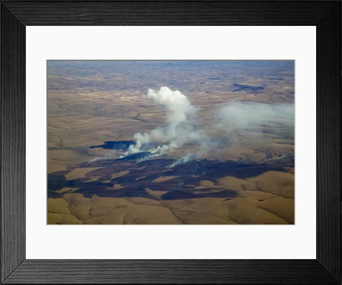 Framed Print : DDE-90021131