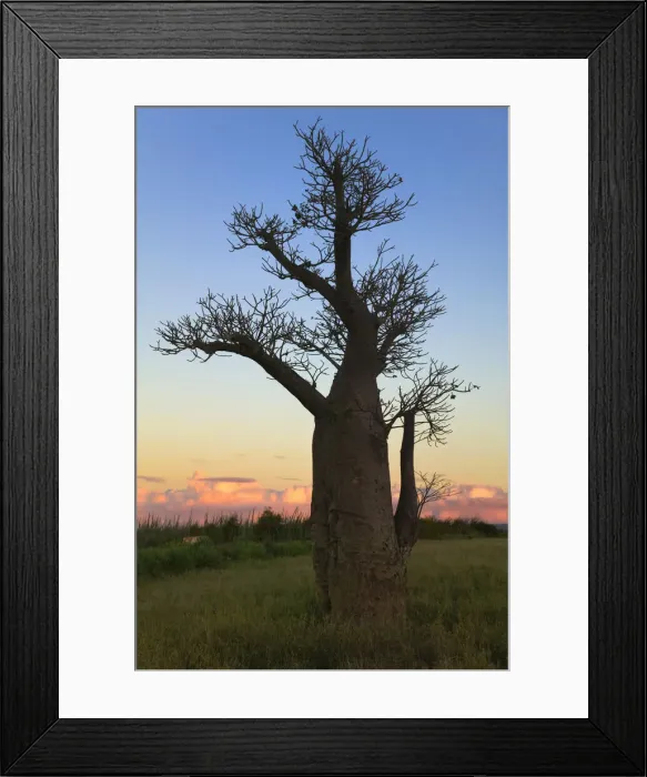 Framed Print : DDE-90021133 Framed Print : DDE-90021133