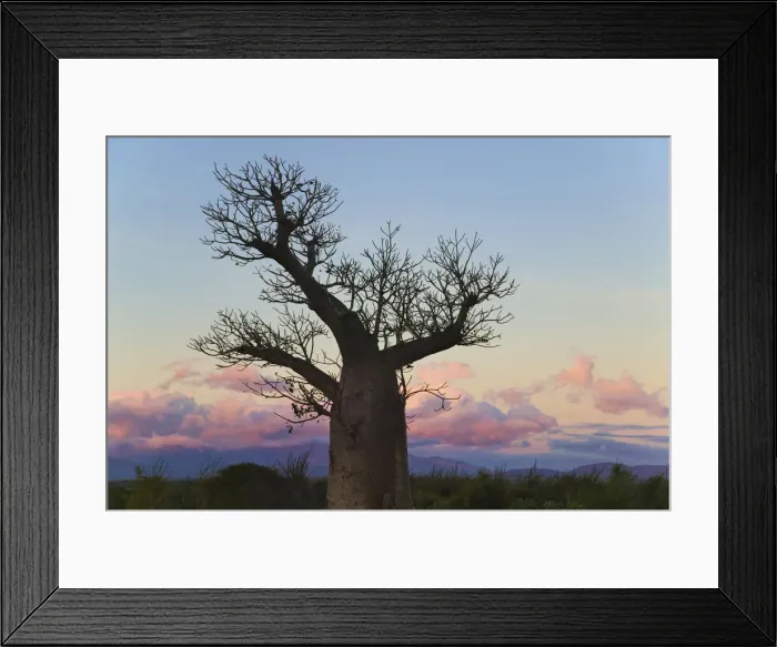 Framed Print : DDE-90021134 Framed Print : DDE-90021134