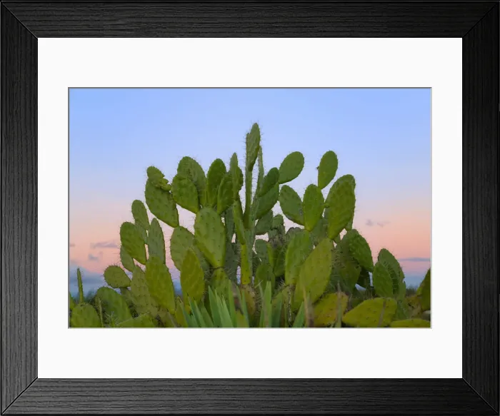 Framed Print : DDE-90021135 Framed Print : DDE-90021135