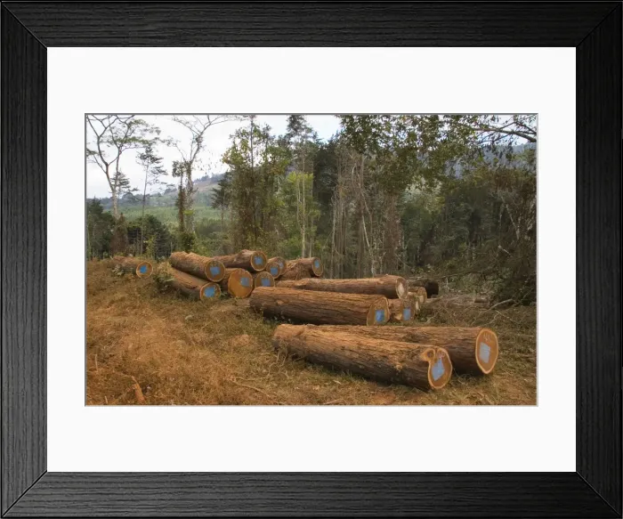 Framed Print : DDE-90021143 Framed Print : DDE-90021143