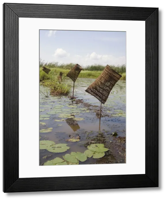 Framed Print : DDE-90021148 Framed Print : DDE-90021148