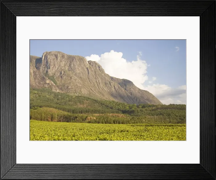 Framed Print : DDE-90021149 Framed Print : DDE-90021149