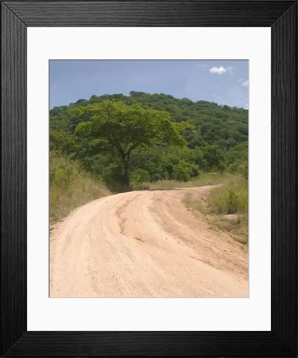 Framed Print : DDE-90021156 Framed Print : DDE-90021156