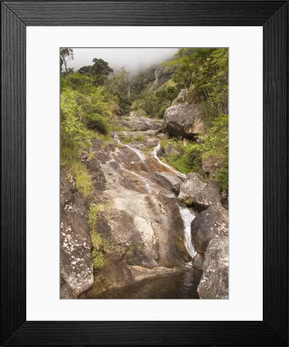Framed Print : DDE-90021158