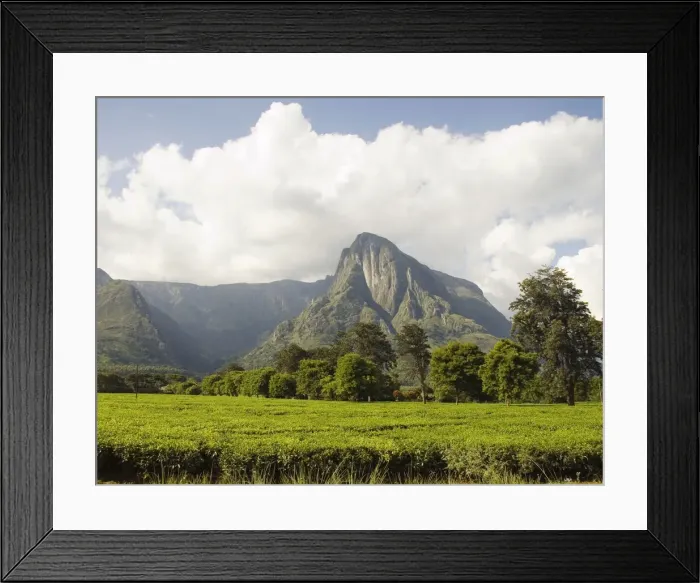 Framed Print : DDE-90021161 Framed Print : DDE-90021161