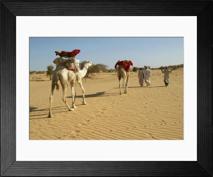 Framed Print : DDE-90021171