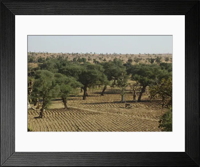 Framed Print : DDE-90021168 Framed Print : DDE-90021168