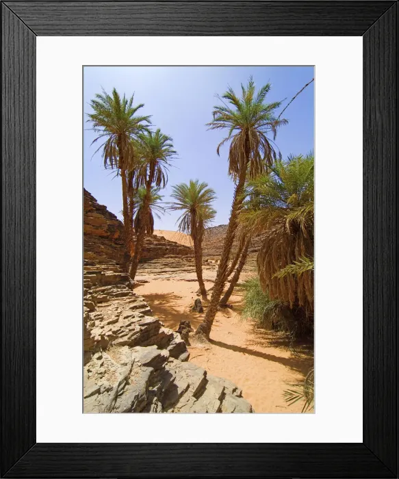 Framed Print : DDE-90021174