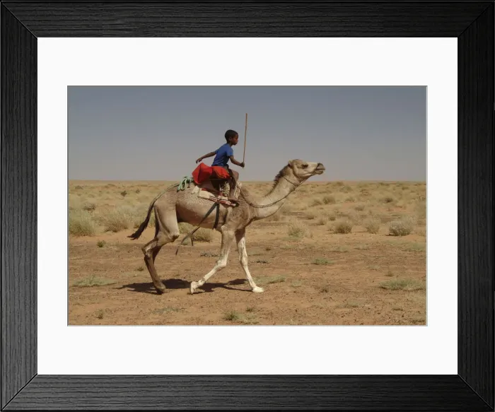 Framed Print : DDE-90021176 Framed Print : DDE-90021176