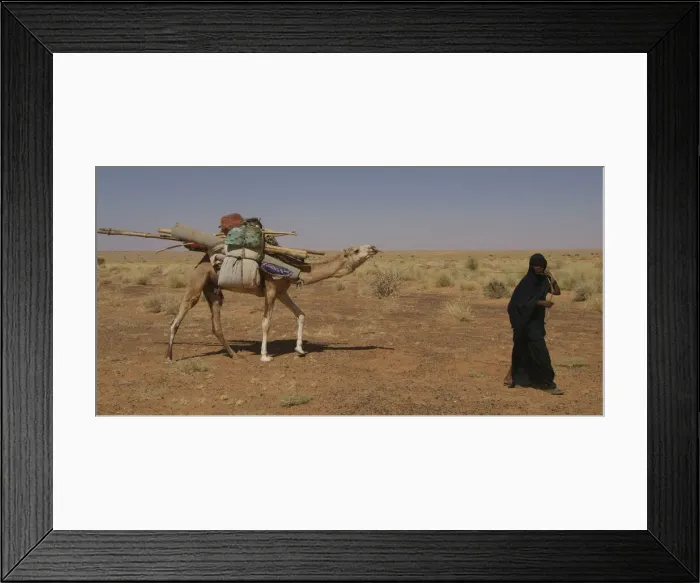 Framed Print : DDE-90021177 Framed Print : DDE-90021177