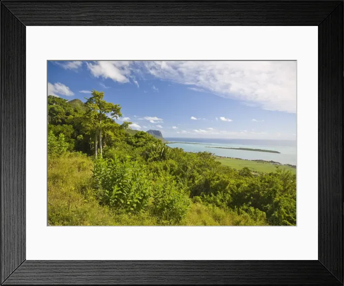Framed Print : DDE-90021186