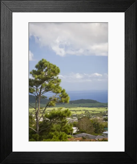 Framed Print : DDE-90021190
