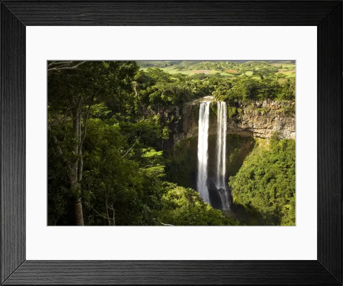 Framed Print : DDE-90021187