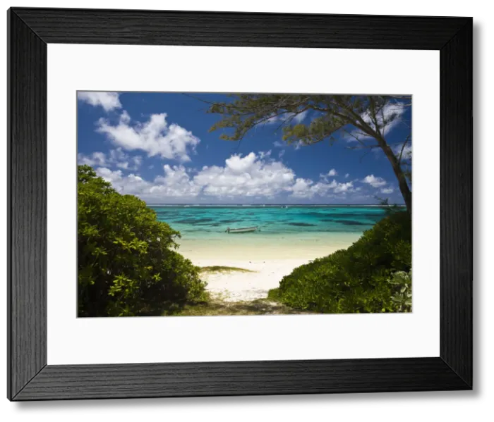 Framed Print : DDE-90021195