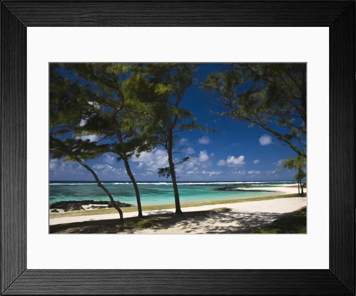 Framed Print : DDE-90021196 Framed Print : DDE-90021196